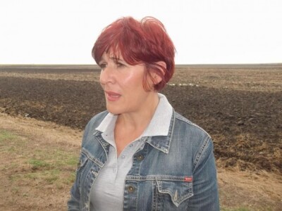 Snežana Parađenović, PIS Zrenjanin