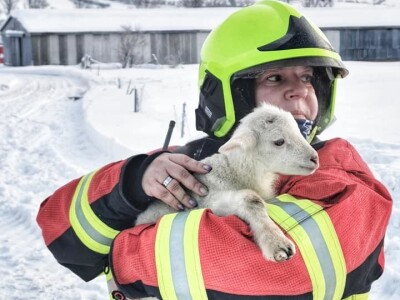 Snijeg u Njemačkoj Snijeg u Njemačkoj