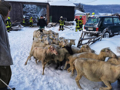 Snijeg u Njemačkoj Snijeg u Njemačkoj
