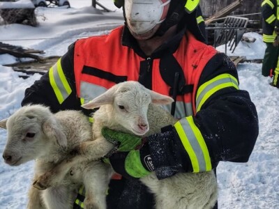 Snijeg u Njemačkoj Snijeg u Njemačkoj