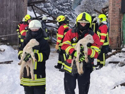 Snijeg u Njemačkoj Snijeg u Njemačkoj