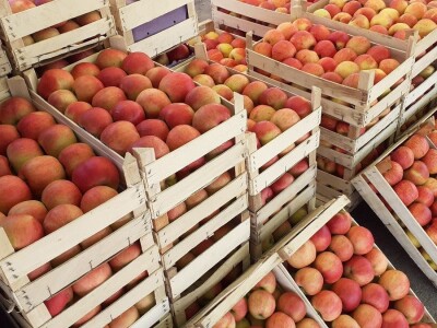 Snijeg u proljeće Snijeg u proljeće