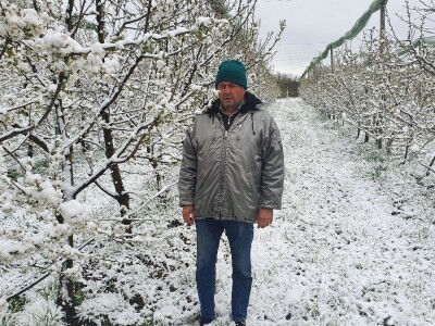 Snijeg u proljeće Snijeg u proljeće