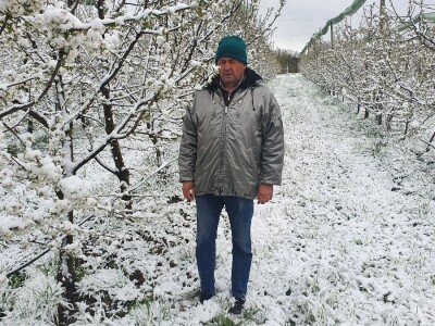 Snijeg u proljeće Snijeg u proljeće