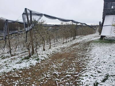 Snijeg u proljeće Snijeg u proljeće