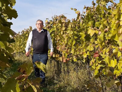 Snijeg u proljeće Snijeg u proljeće