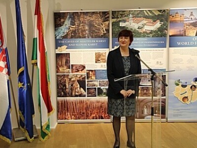 Snježana Španjol, zamjenica ministra poljoprivrede RH