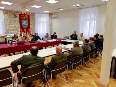 Sobina i čagljevi ugrožavaju paško ovčarstvo