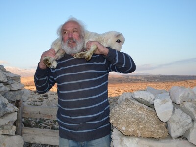 Sobina i čagljevi ugrožavaju paško ovčarstvo