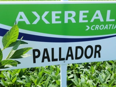 Soja Axereal