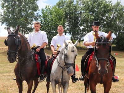 Šokačka alka Šokačka alka