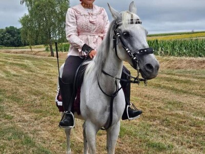 Šokačka alka Šokačka alka