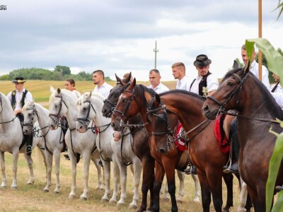 Šokačka alka Šokačka alka