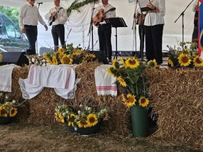 Šokačka alka Šokačka alka