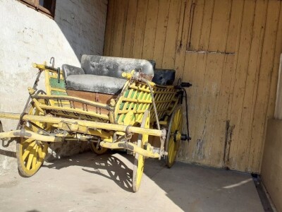 Šokačka lady iz Županje