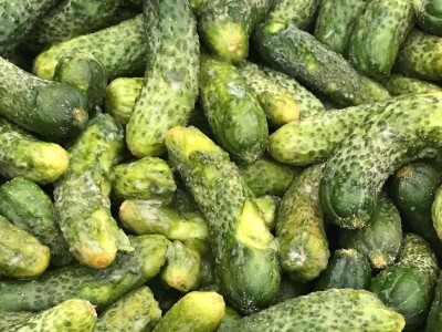 Šokantne fotografije bh. kornišona Šokantne fotografije bh. kornišona