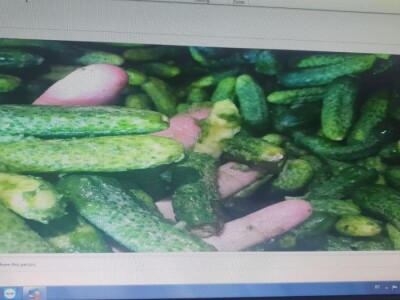 Šokantne fotografije bh. kornišona Šokantne fotografije bh. kornišona