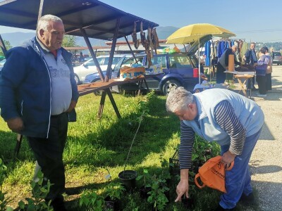 Sokol Šalja - od pekara do voćara