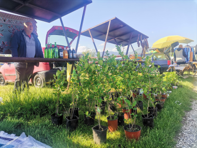 Sokol Šalja - od pekara do voćara