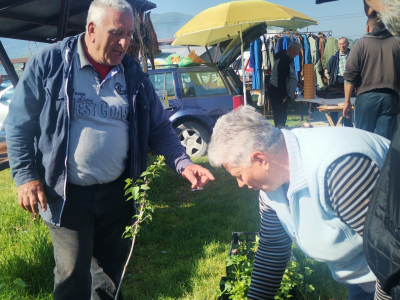 Sokol Šalja - od pekara do voćara