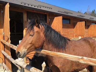 Sokolske kolibe: Genetički centar