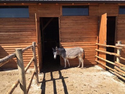 Sokolske kolibe: Genetički centar