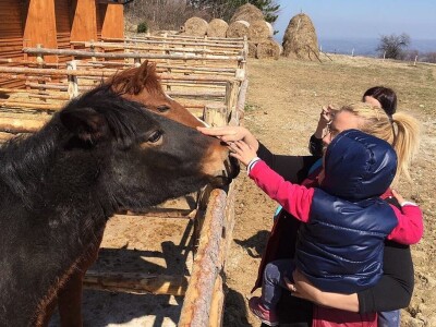 Sokolske kolibe: Genetički centar