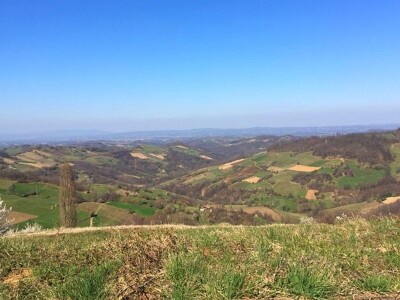 Sokolske kolibe: Genetički centar