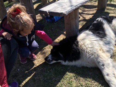 Sokolske kolibe: Genetički centar