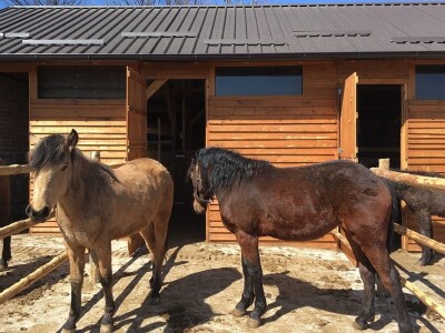 Sokolske kolibe: Genetički centar