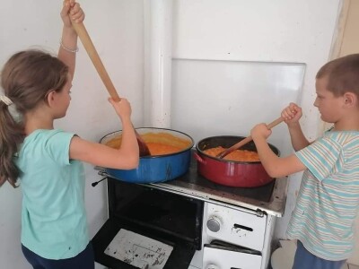 Sokovi, džemovi, zimnica