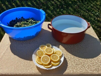 Sokovi, džemovi, zimnica