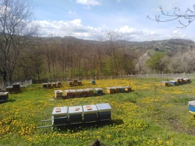 Sokovi, džemovi, zimnica