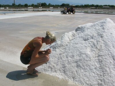 Najzdravija vrsta je ninski Cvijet soli