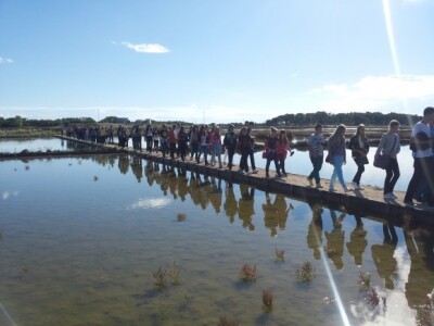 Cvijet soli se stvara na površini vode