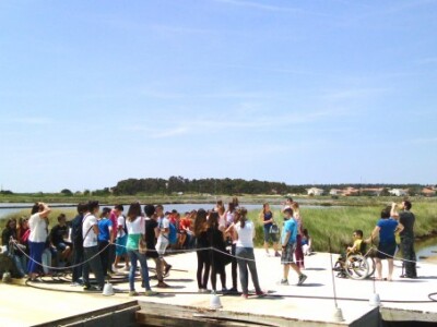 Cvijet soli nastao u savršenim prirodnim uvjetima