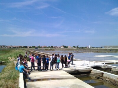 Tehnologija proizvodnje