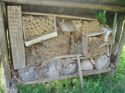 Solitarne pčele - Osnovna škola Adžamovci