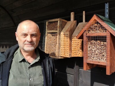 Solitarne pčele Solitarne pčele