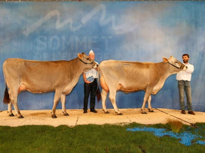 Sommet de l