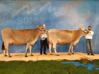 Sommet de l