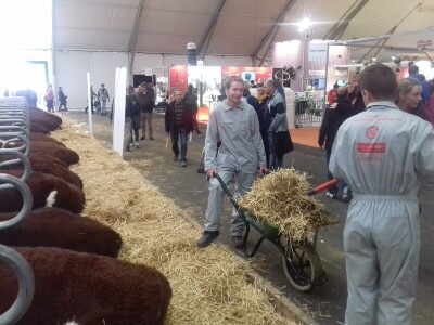 Sommet de l'elevage 2019