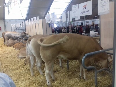 Sommet de l'elevage 2019