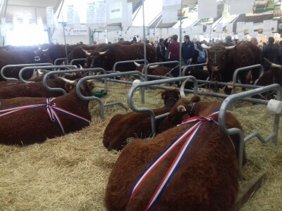 Sommet de l'elevage 2019