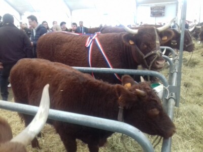 Sommet de l'elevage 2019