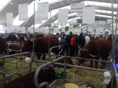 Sommet de l'elevage 2019