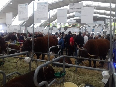 Sommet de l'elevage 2019