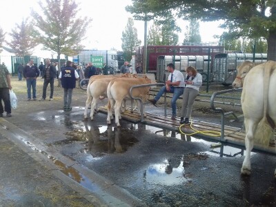 Sommet de l'elevage 2019