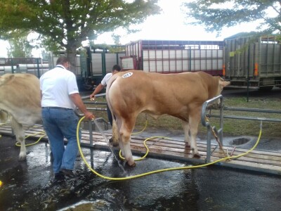 Sommet de l'elevage 2019