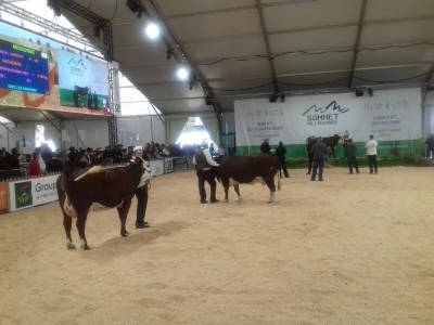 Sommet de l'elevage 2019